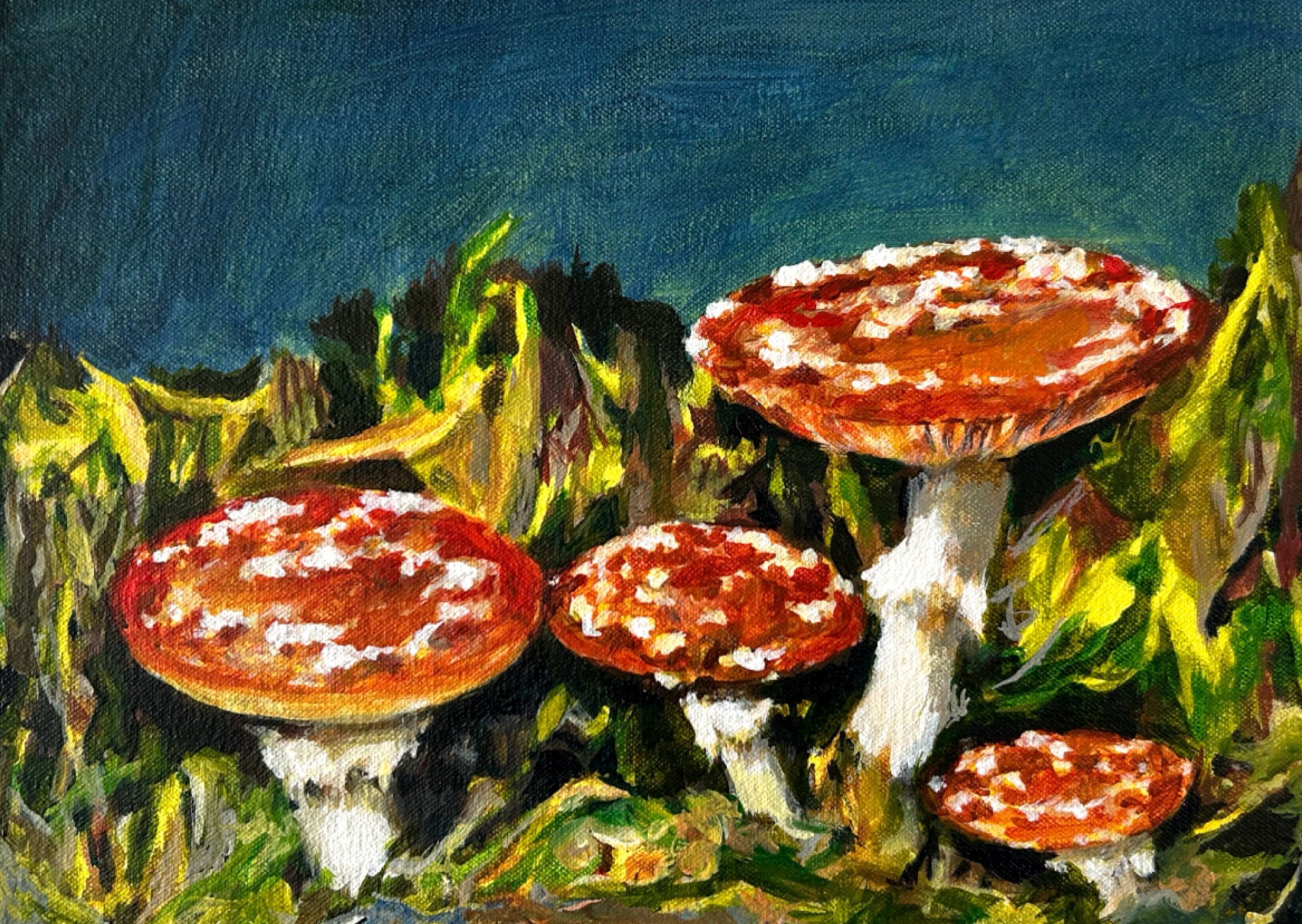 Adriana Coppio - Cogumelos 3