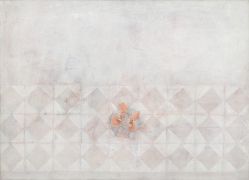 Adriana Rocha - Sem Título