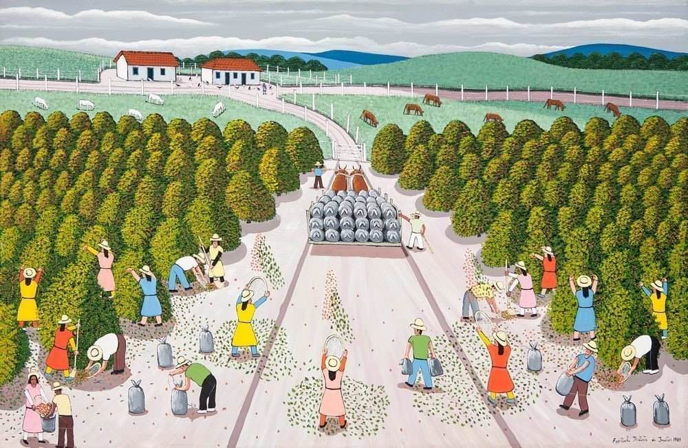 Agostinho Batista de Freitas - Plantação de Café