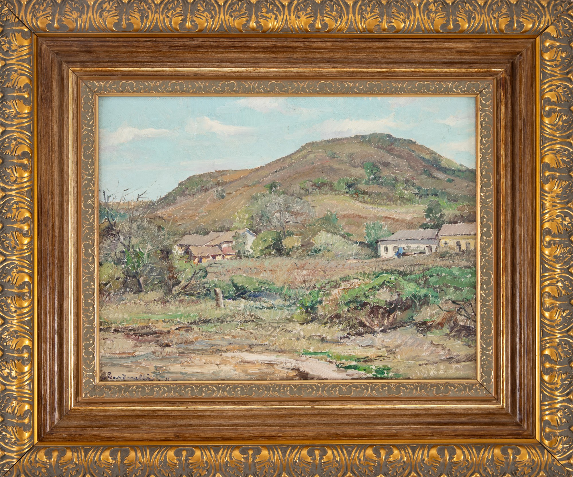 Aldo Cardarelli - Arredores de Campinas