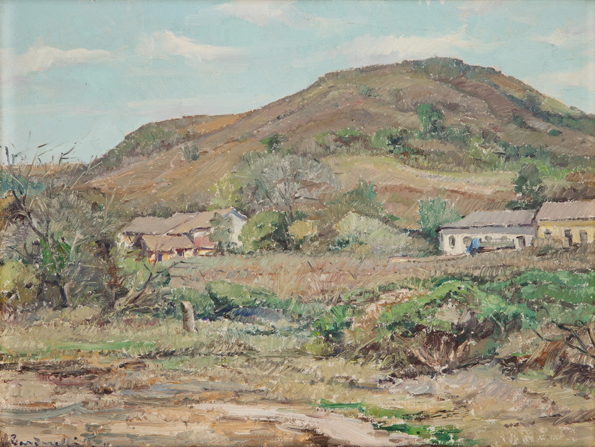 Aldo Cardarelli - Arredores de Campinas