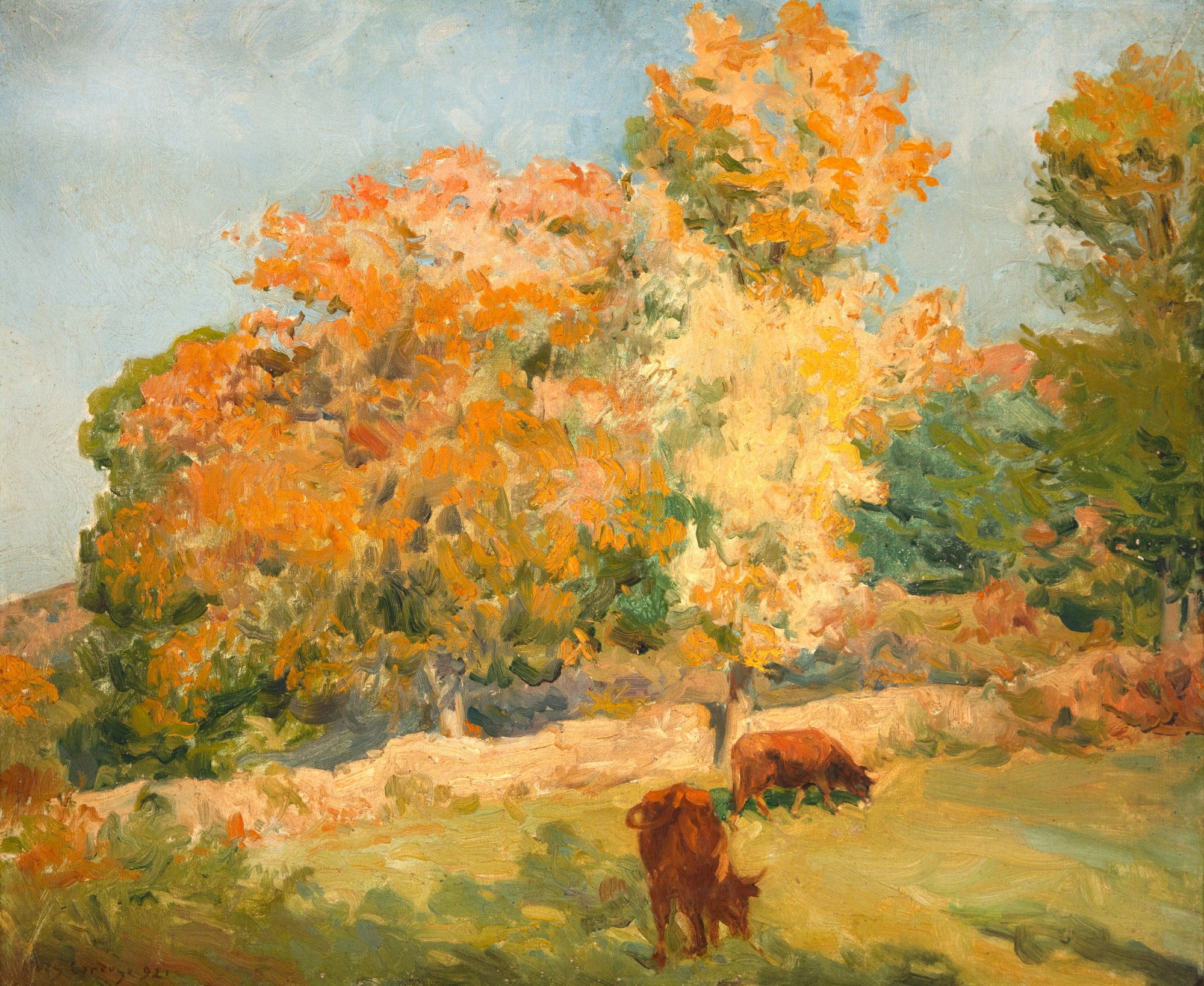 Alves Cardoso - Paisagem