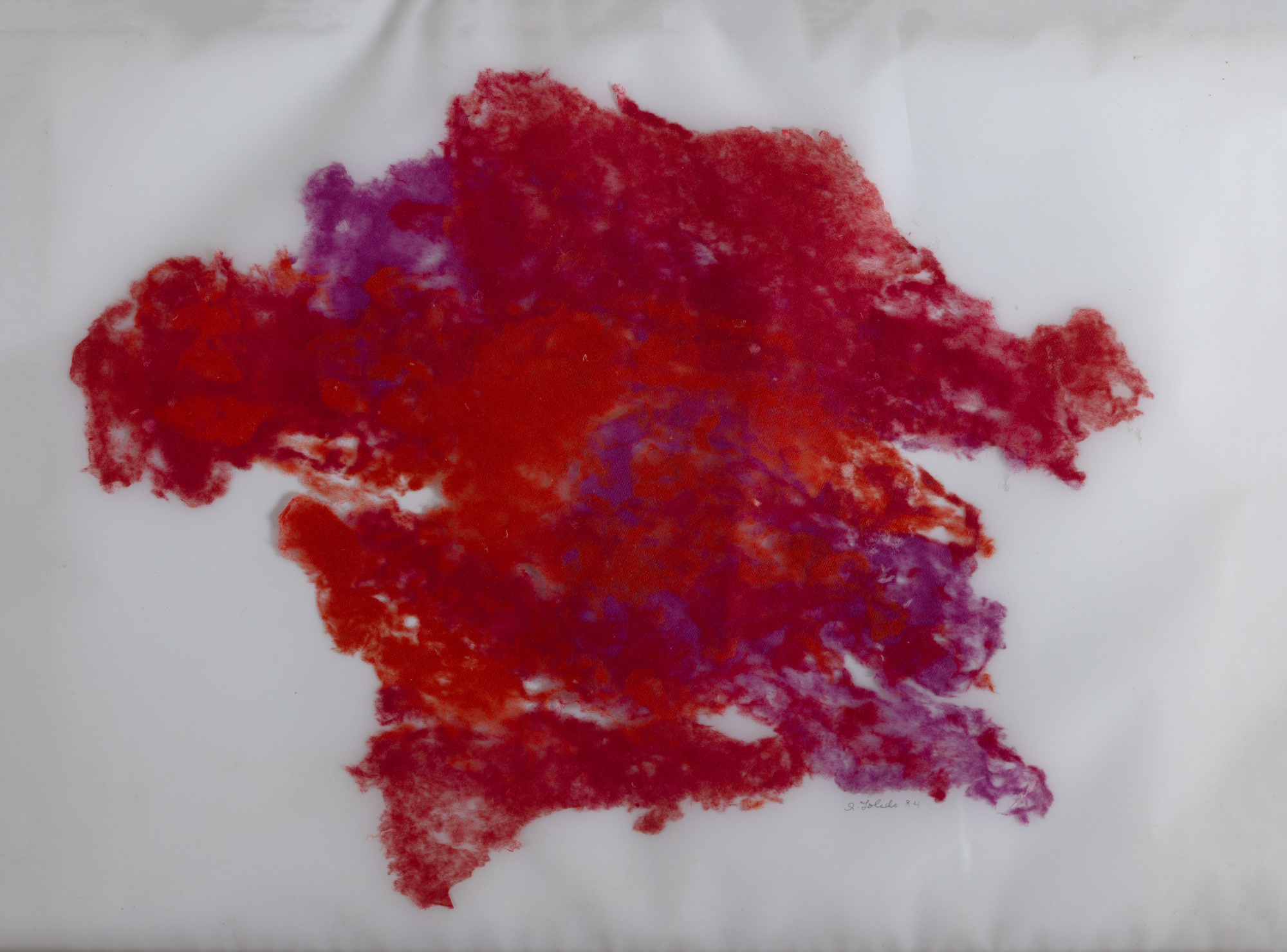 Amelia Toledo - Untitled