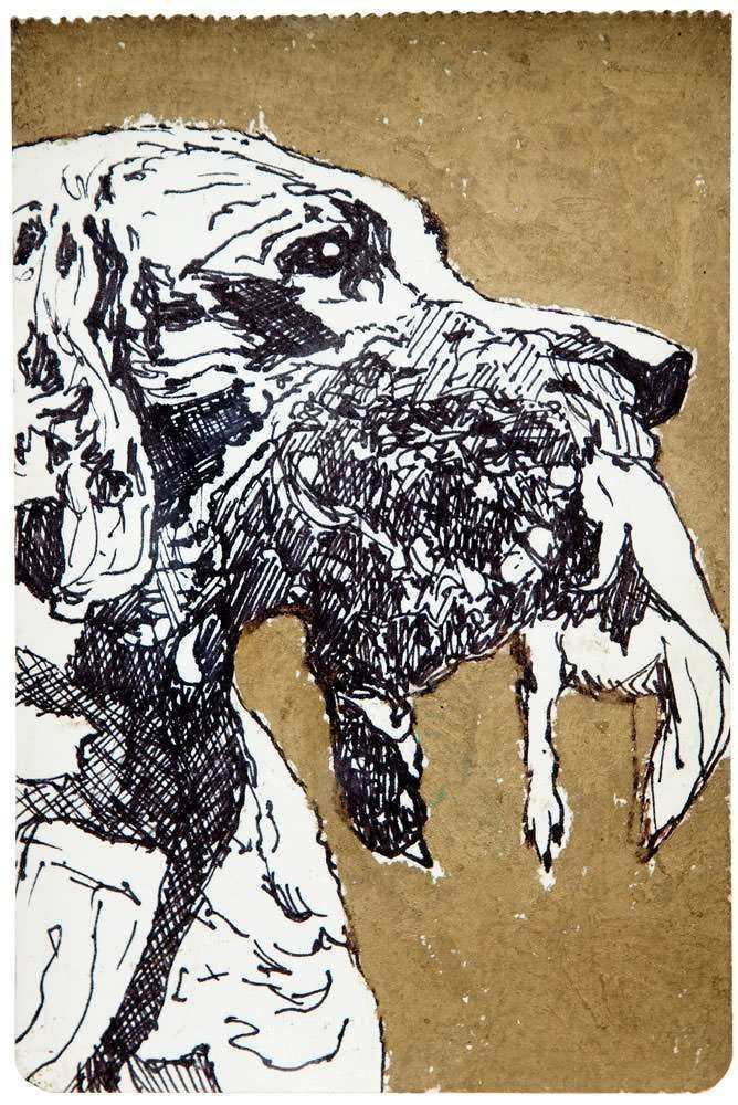 Ana Elisa Egreja - Série Hunting Dogs - nº 07