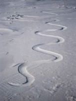 Andy Goldsworthy - Waiting for fhe Wind