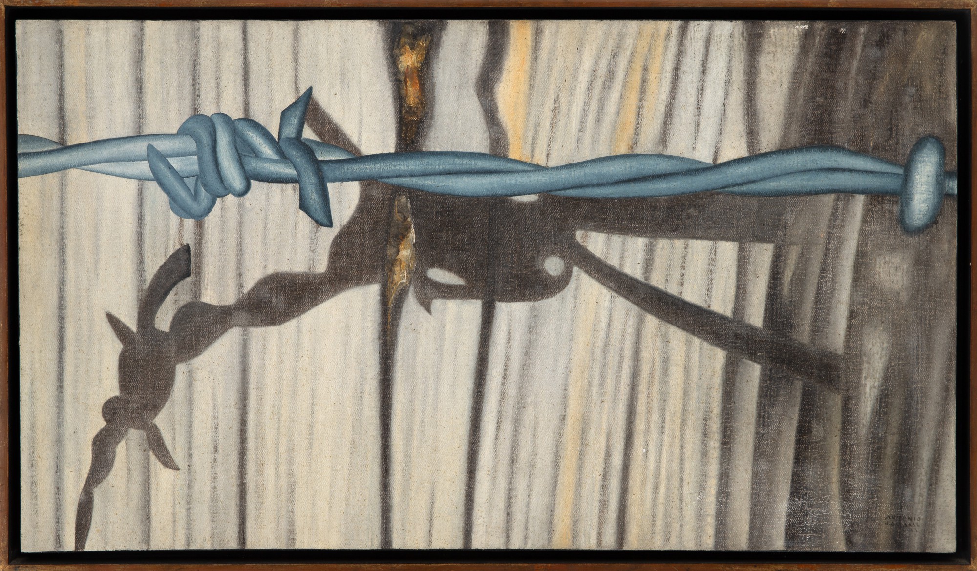 Antonio Henrique Amaral - Arame Farpado