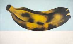 Antonio Henrique Amaral - Banana