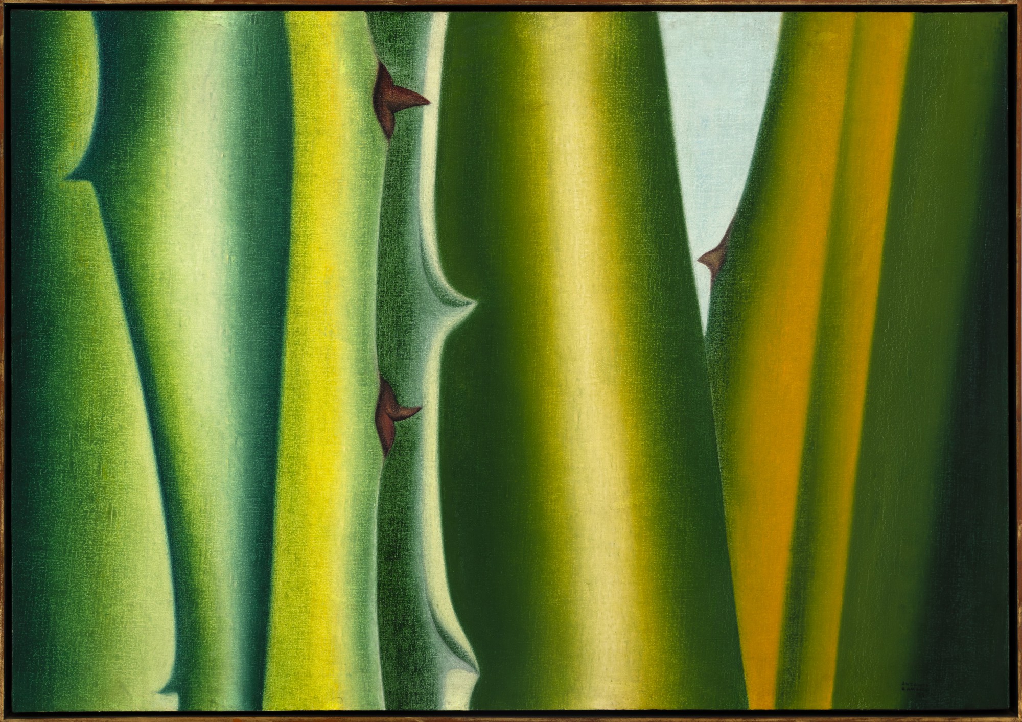Antonio Henrique Amaral - Thorns And Sky