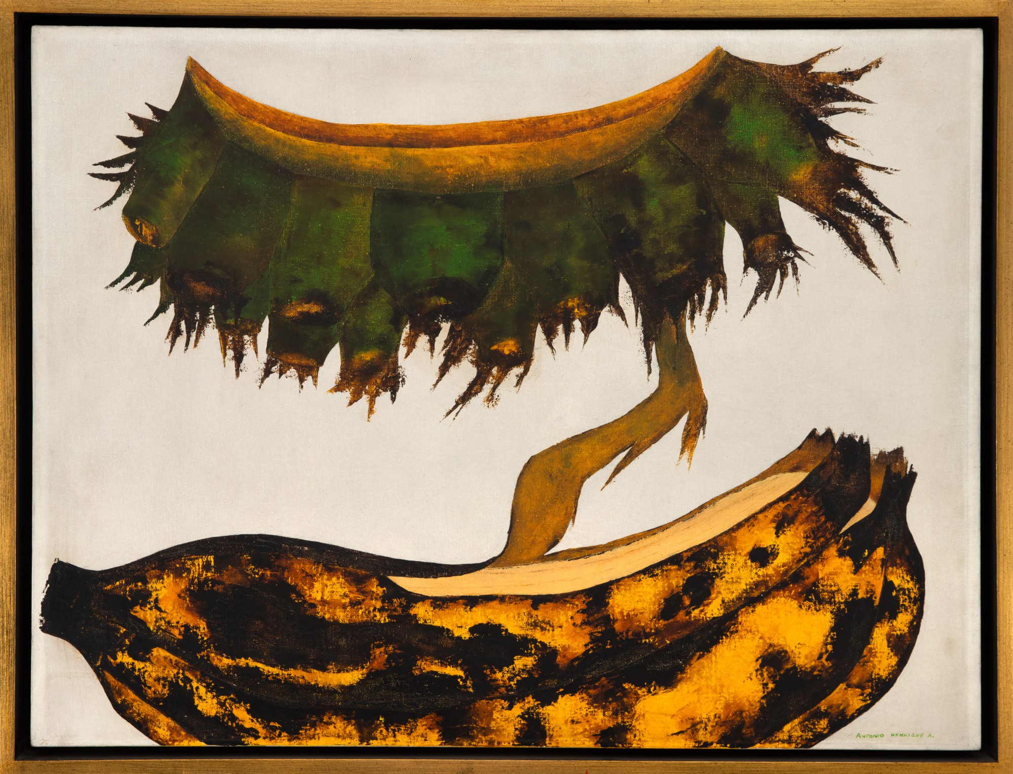 Antonio Henrique Amaral - Ruptura Umbilical