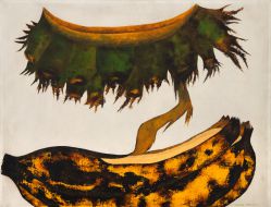 Antonio Henrique Amaral - Ruptura Umbilical