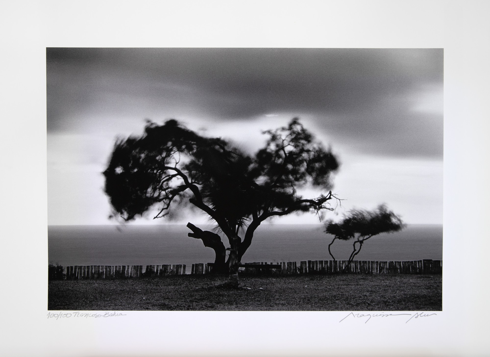 Araquem Alcantara - Trancoso - Bahia