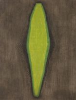 Arthur Piza - Jacaré