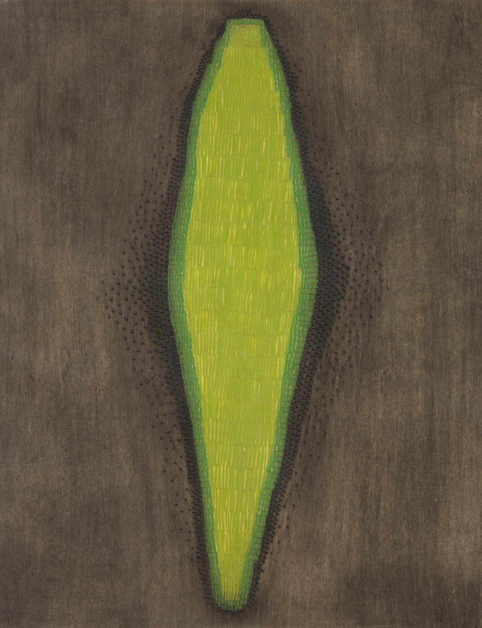 Arthur Piza - Jacaré