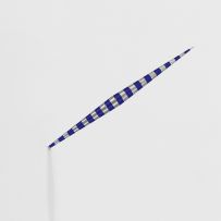 Artur Lescher - Dardo #17