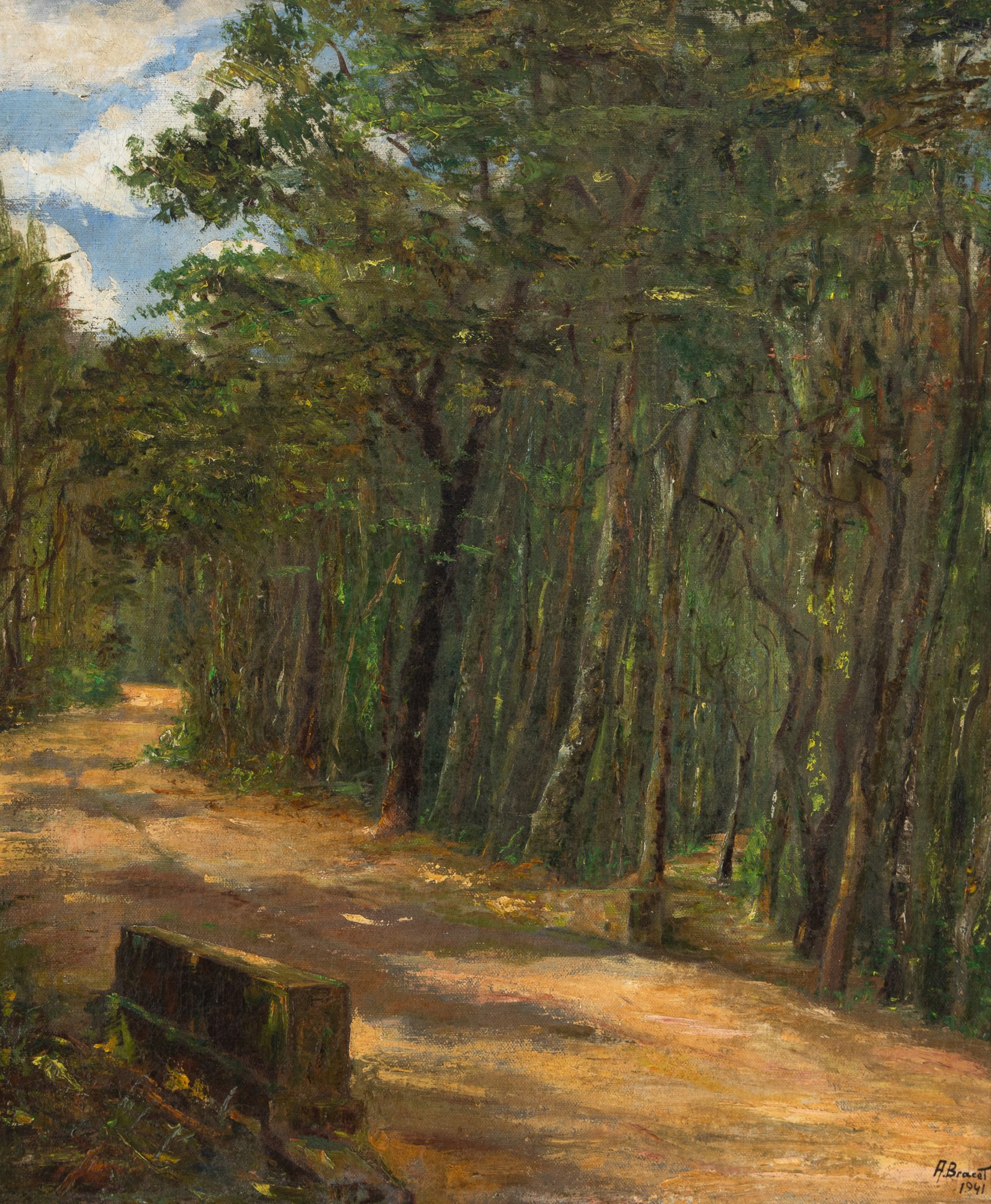 Augusto Bracet - Forest Interior