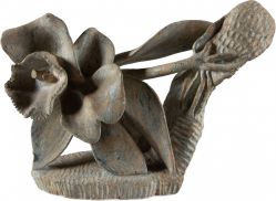 Autor Não Identificado - Orquídea Surreal