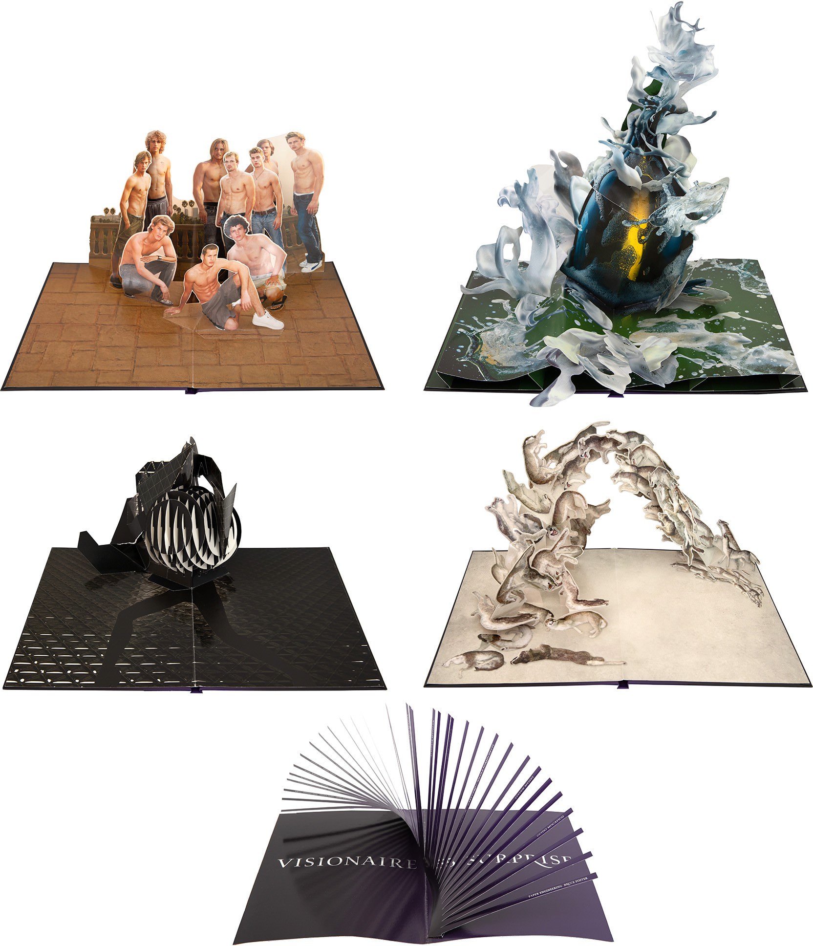 Visionaire N55: Surprise -