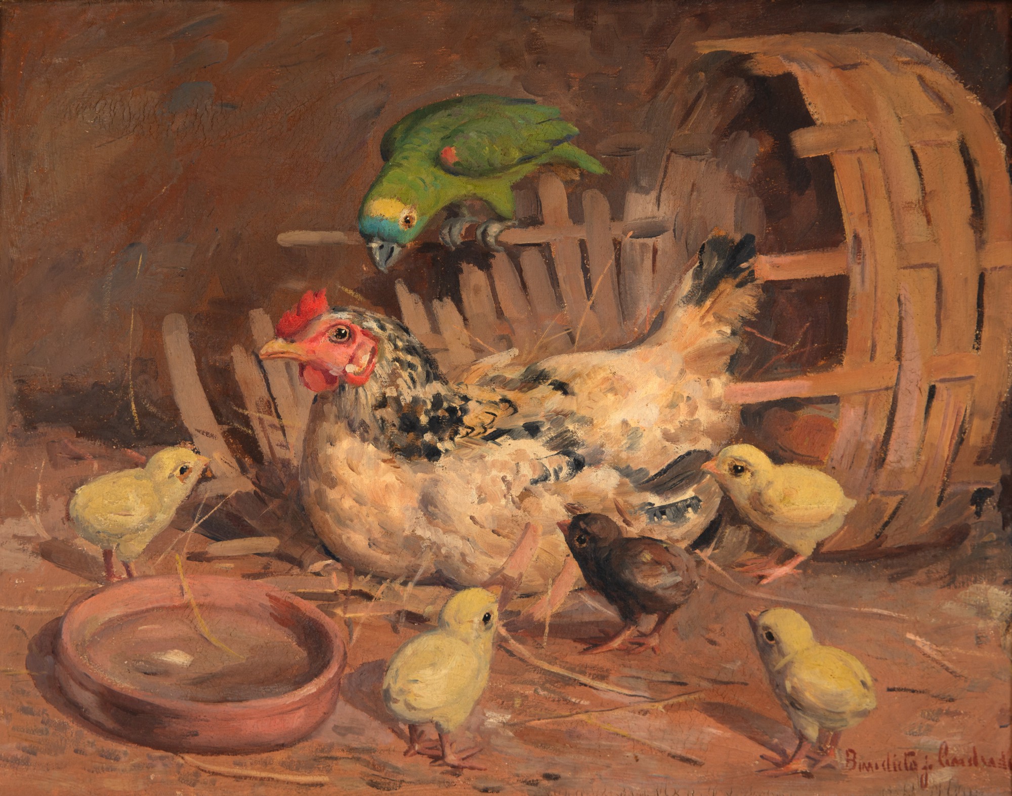 Benedito José De Andrade - Aves