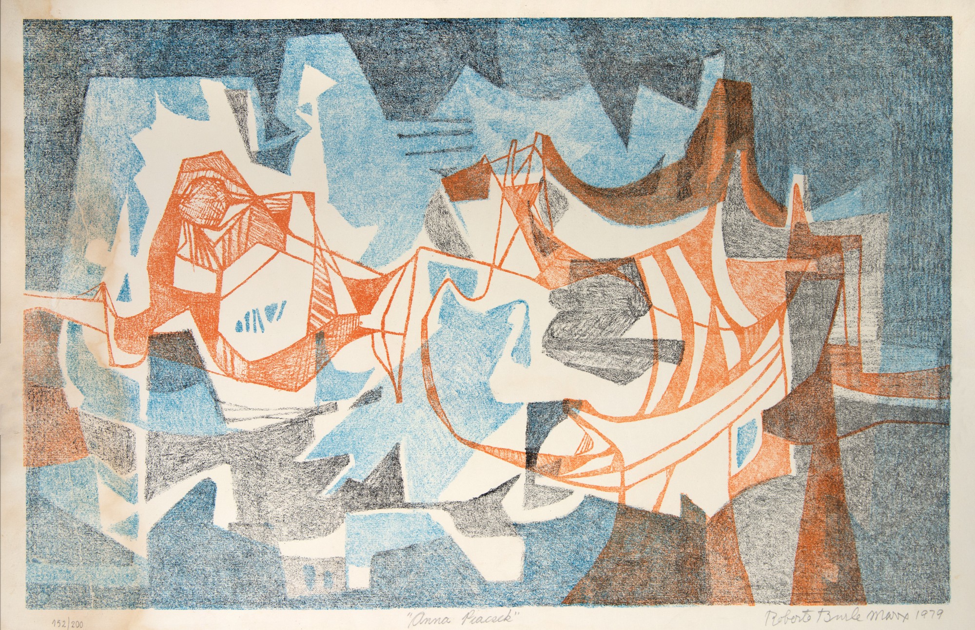 Burle Marx - Anna Piacsek