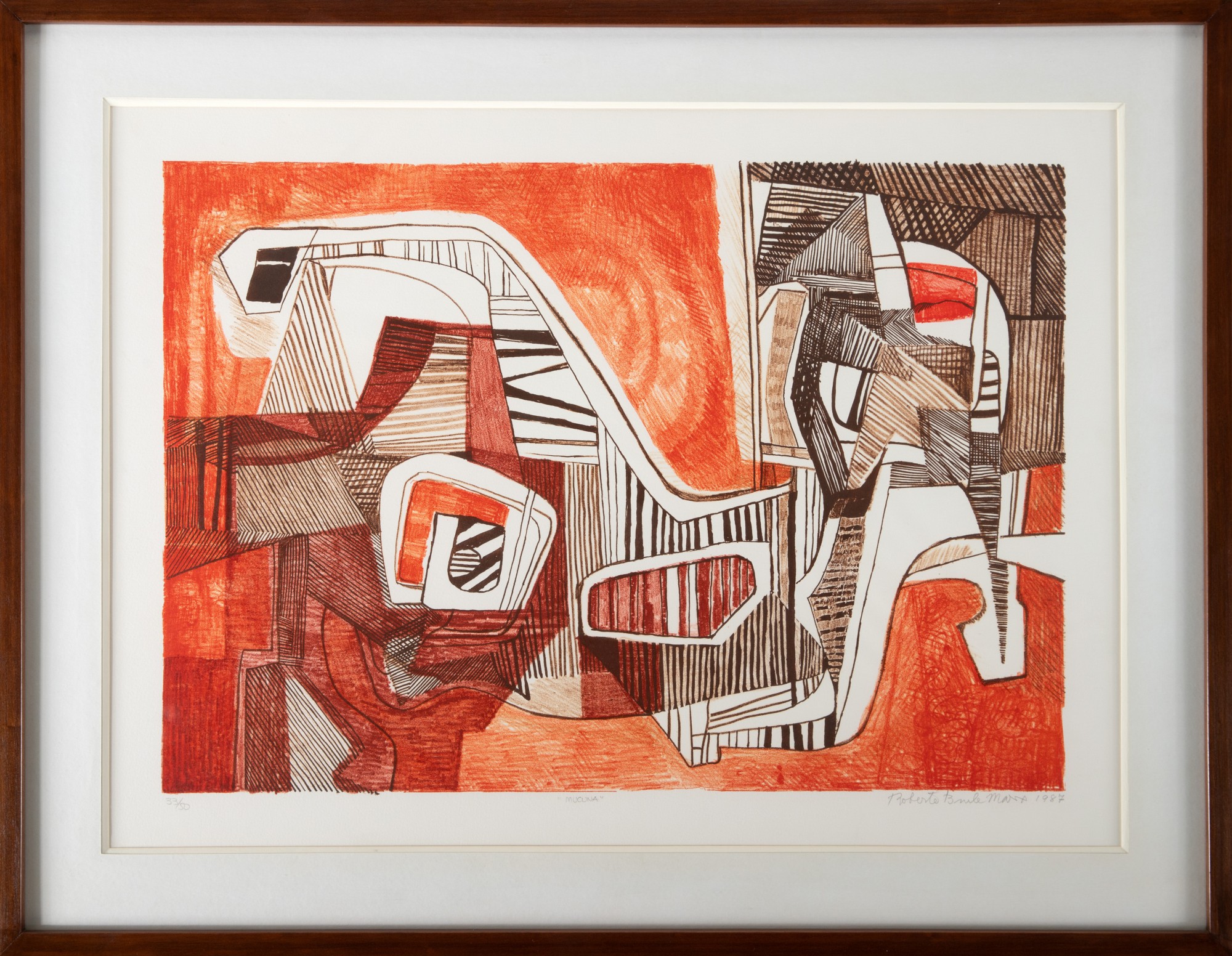 Burle Marx - Macuna