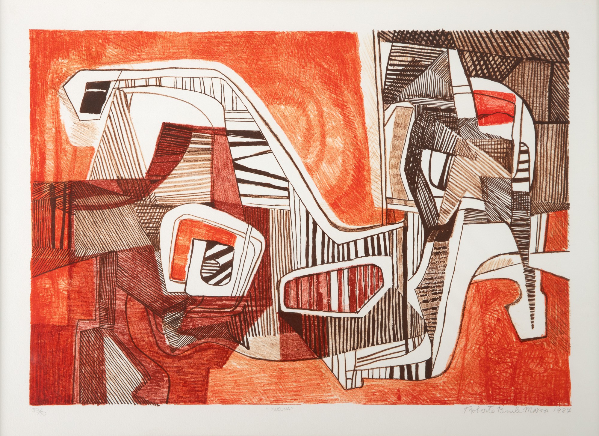 Burle Marx - Macuna