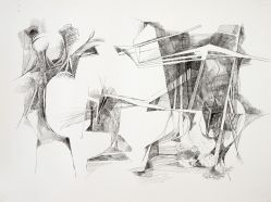 Burle Marx - Sem Título