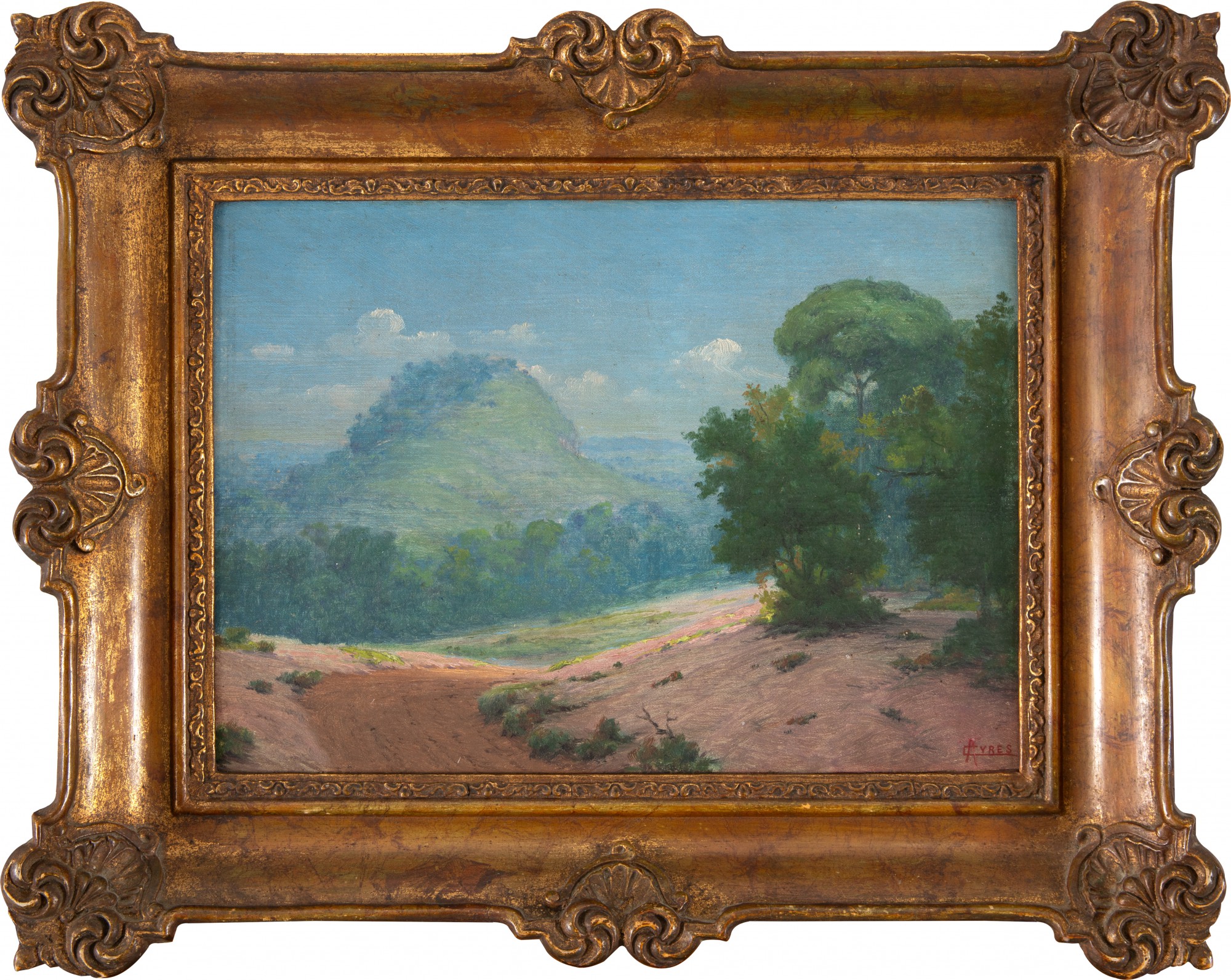 Campos Ayres - Paisagem