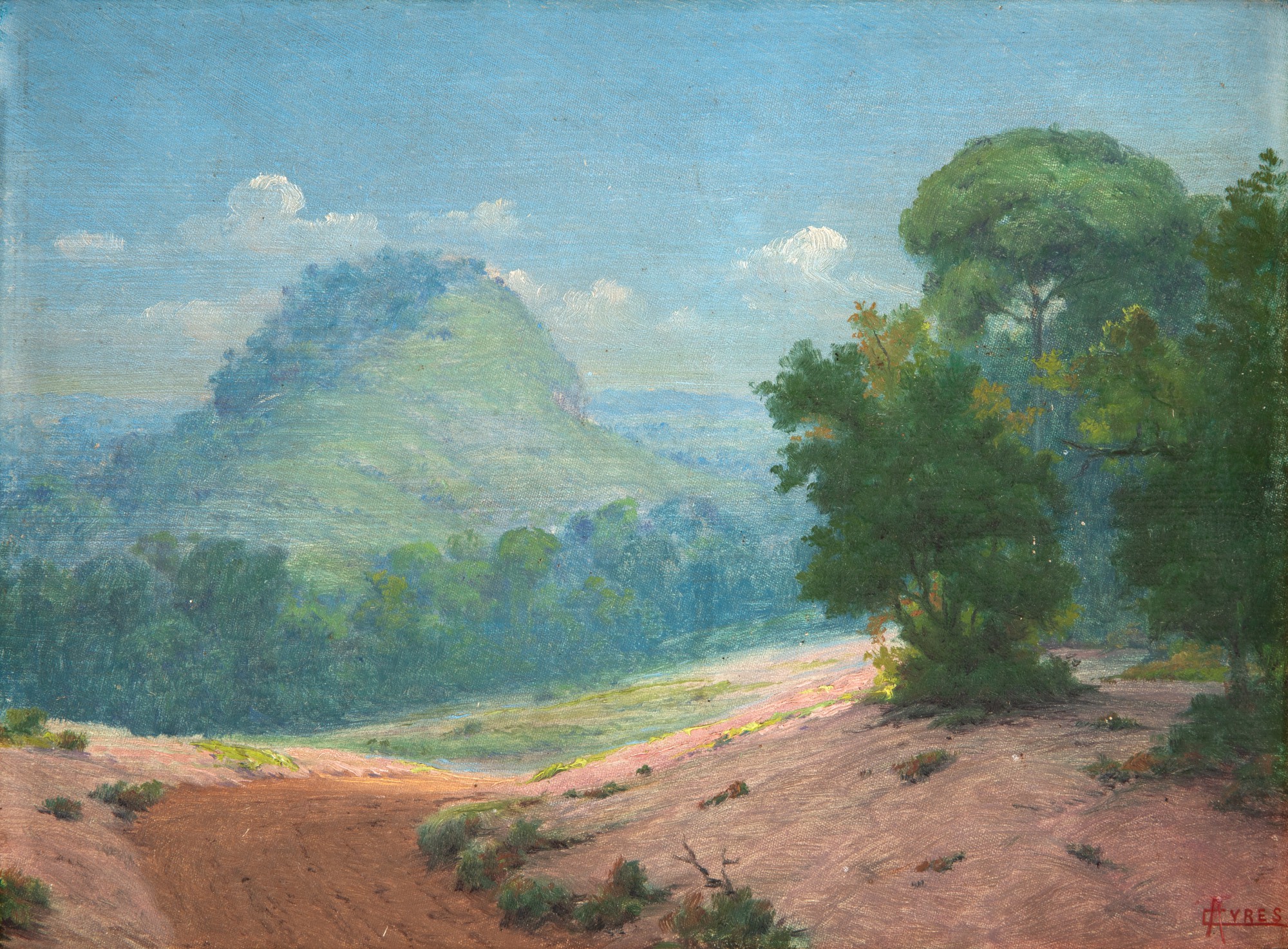 Campos Ayres - Paisagem