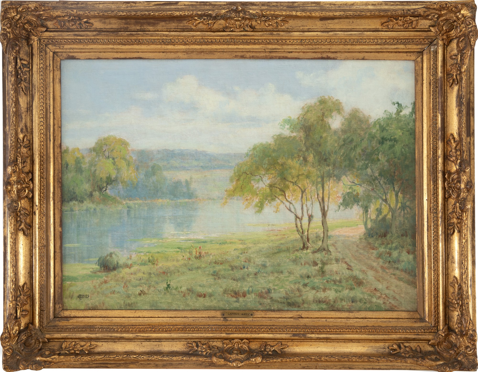 Campos Ayres - Paisagem