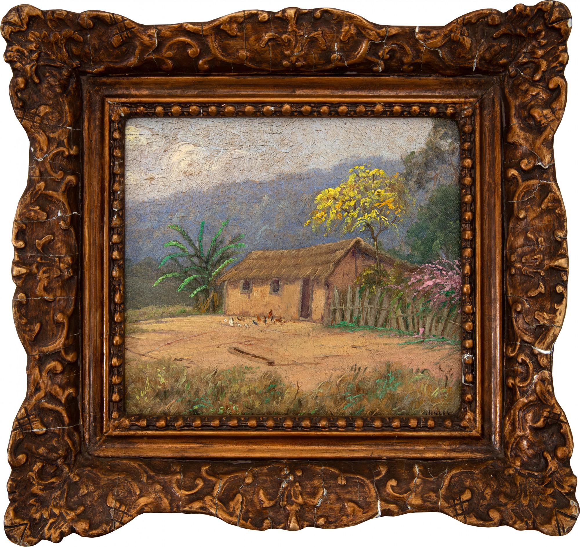 Campos Ayres - Site With Yellow Ypê