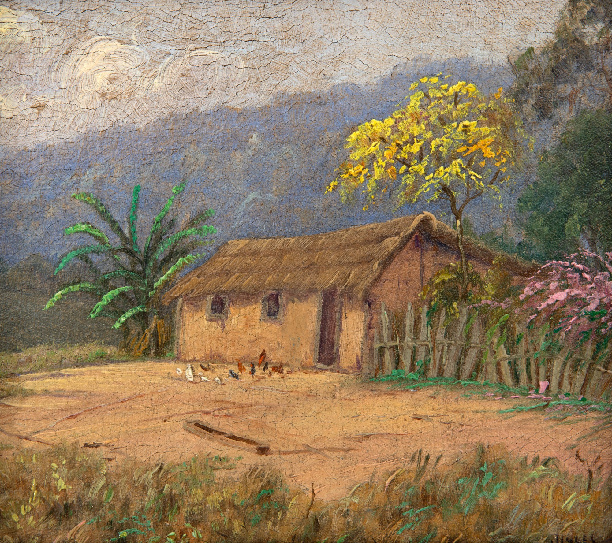 Campos Ayres - Site With Yellow Ypê