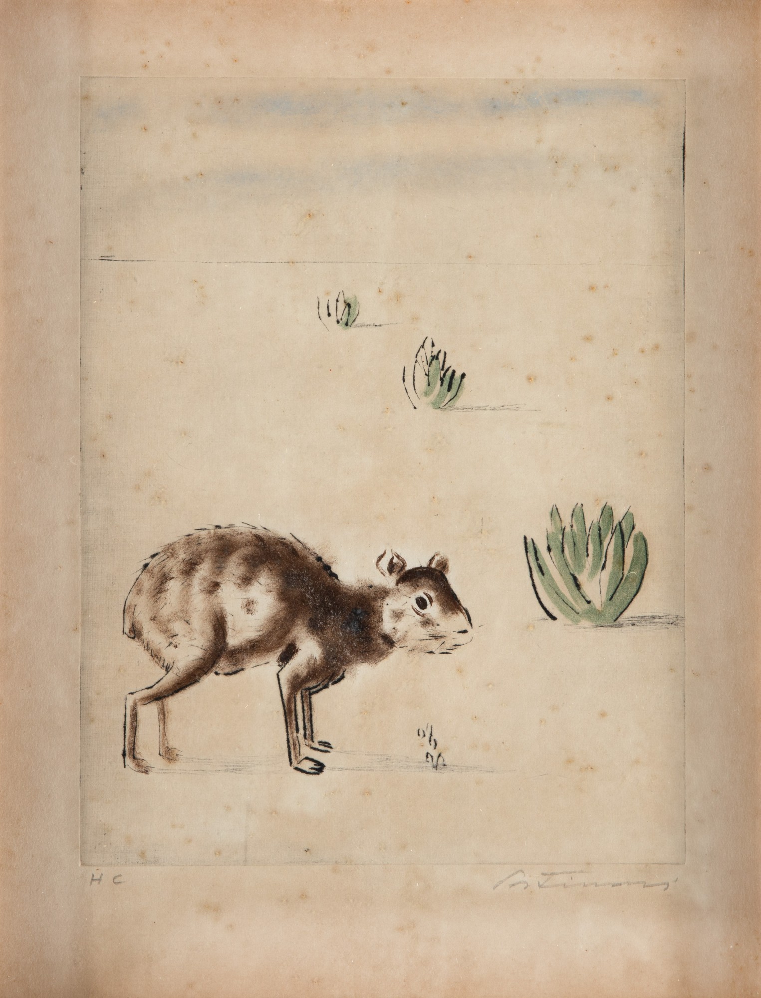 Candido Portinari - Cutia