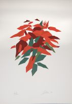Carlos Scliar - Flor vermelha