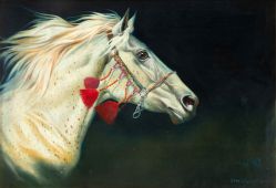 Cassio Mello - Galope Árabe