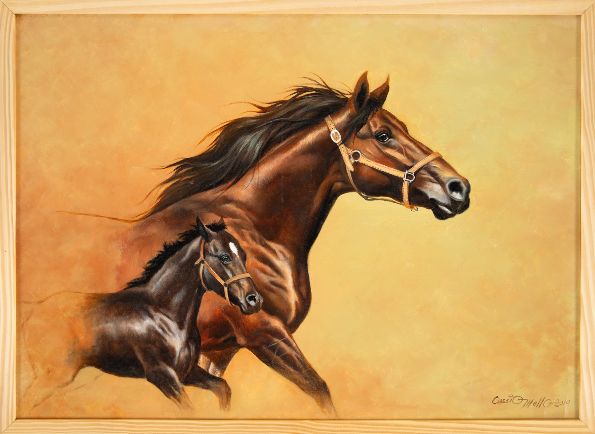 Cassio Mello - Liberdade