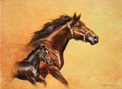 Cassio Mello - Liberdade