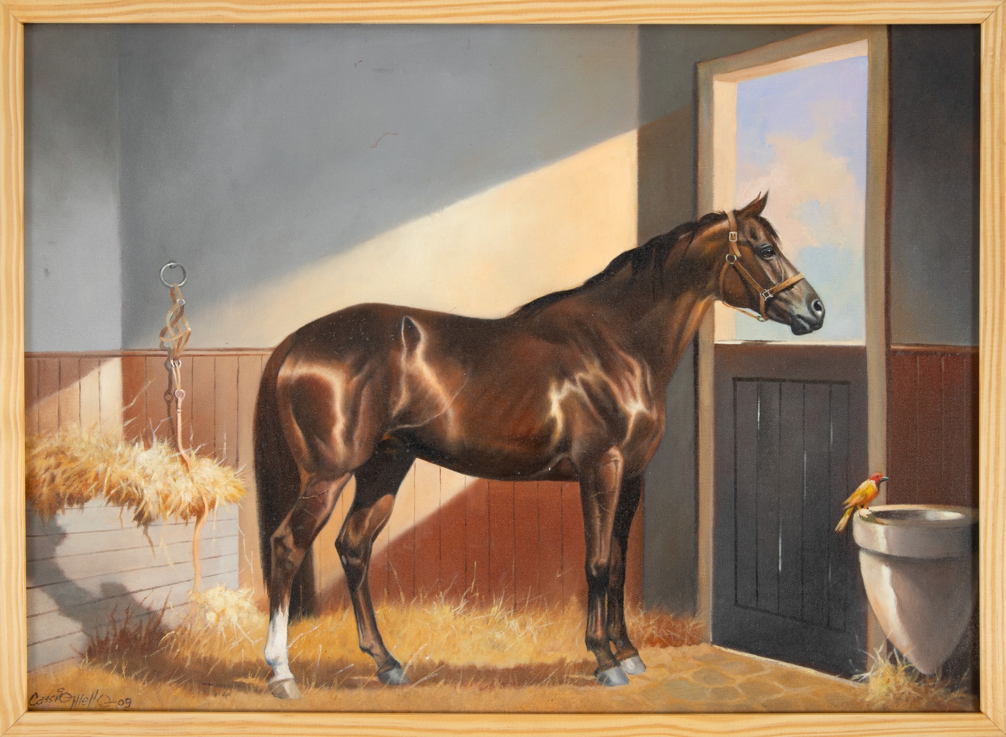 Cassio Mello - Potro PSI na Cocheira