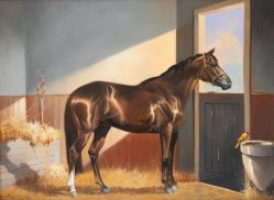 Cassio Mello - Potro PSI na Cocheira