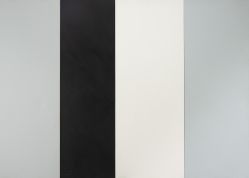 Cassio Michalany - Sem Título (Quatro Paineis)