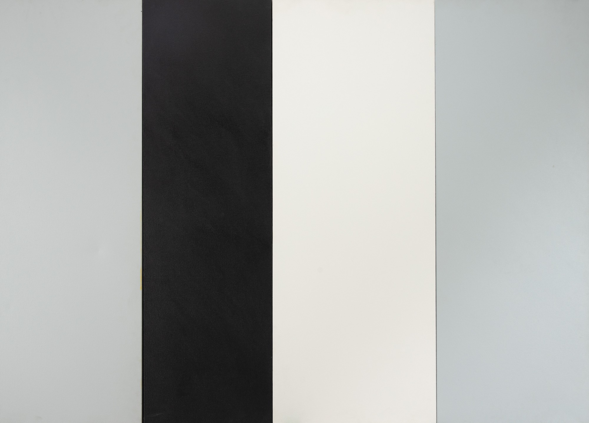 Cassio Michalany - Sem Título (Quatro Paineis)