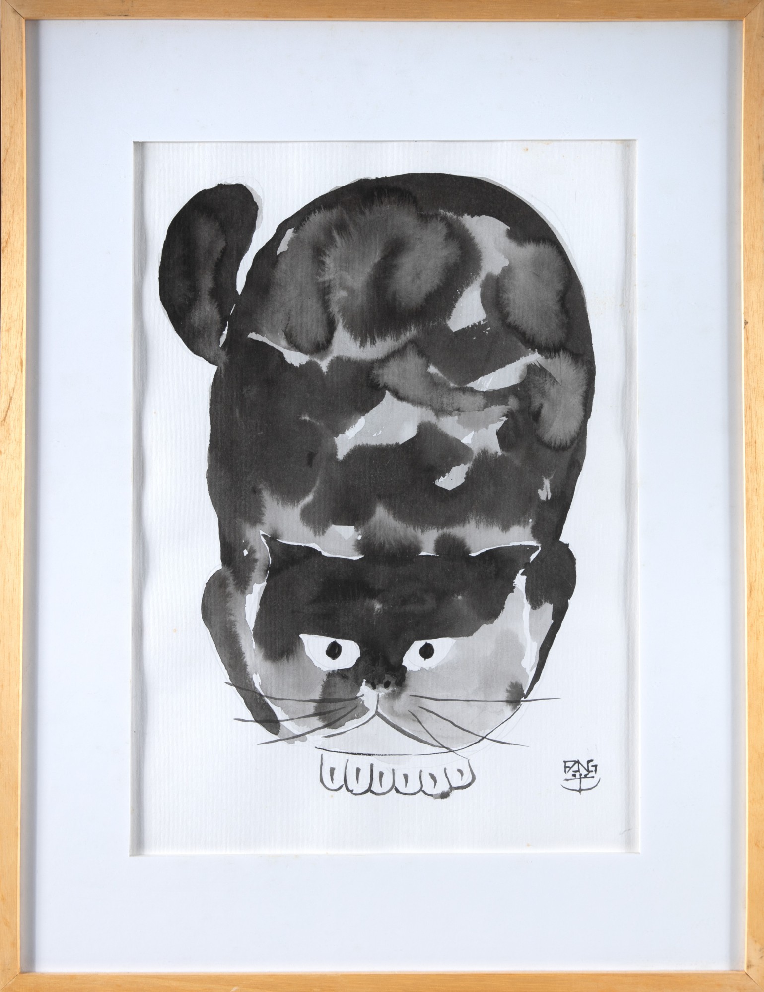 Chen Kong Fang - Gatinho Molhado II