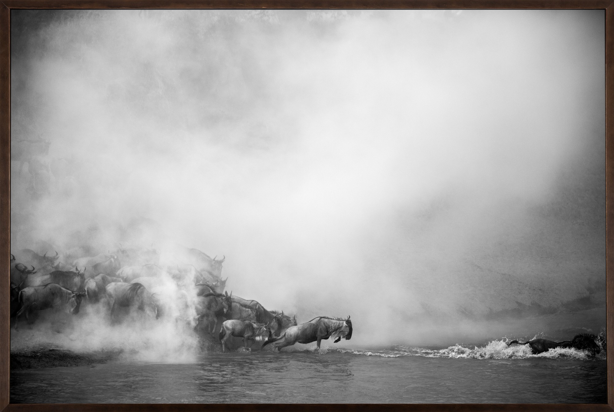 Christian Cravo - Grande Migração, Tanzânia 2012