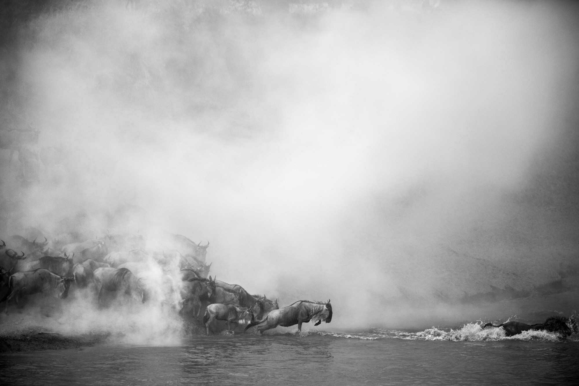 Christian Cravo - Grande Migração, Tanzânia 2012