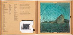 Cildo Meireles - Rio Oir