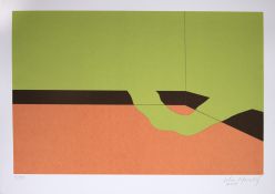Cildo Meireles - Sem Título