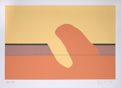 Cildo Meireles - Sem Título