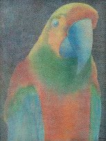 Claudio Tozzi - Papagaio