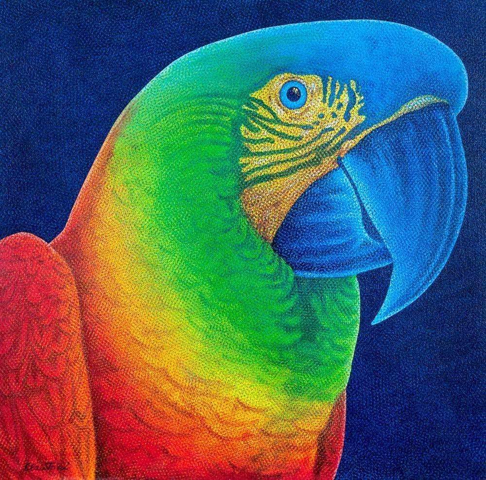 Claudio Tozzi - Papagália