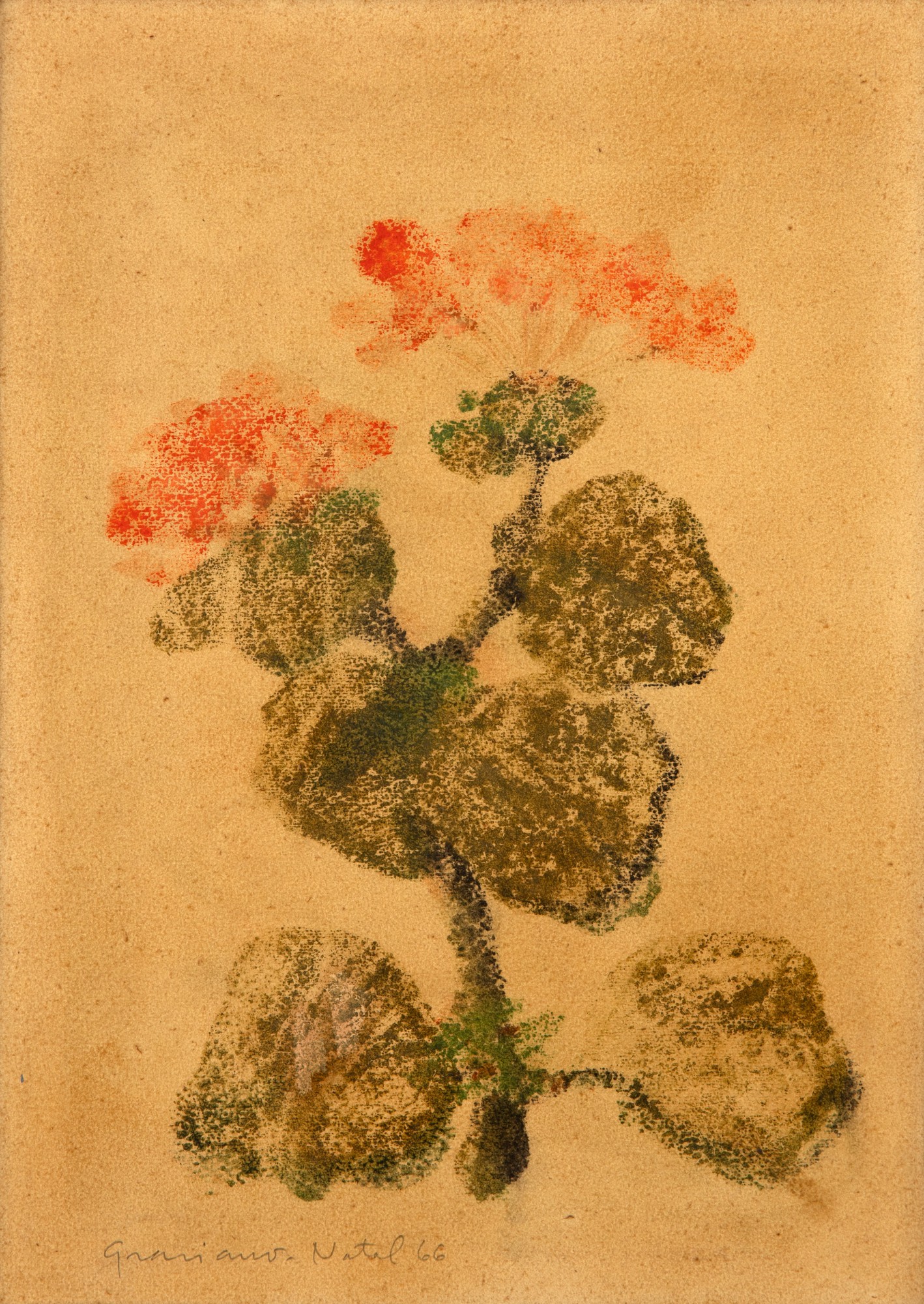 Clóvis Graciano - Flor