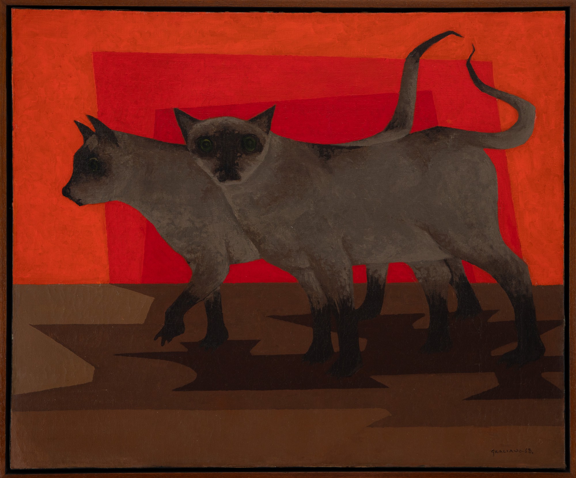 Clóvis Graciano - Gatos